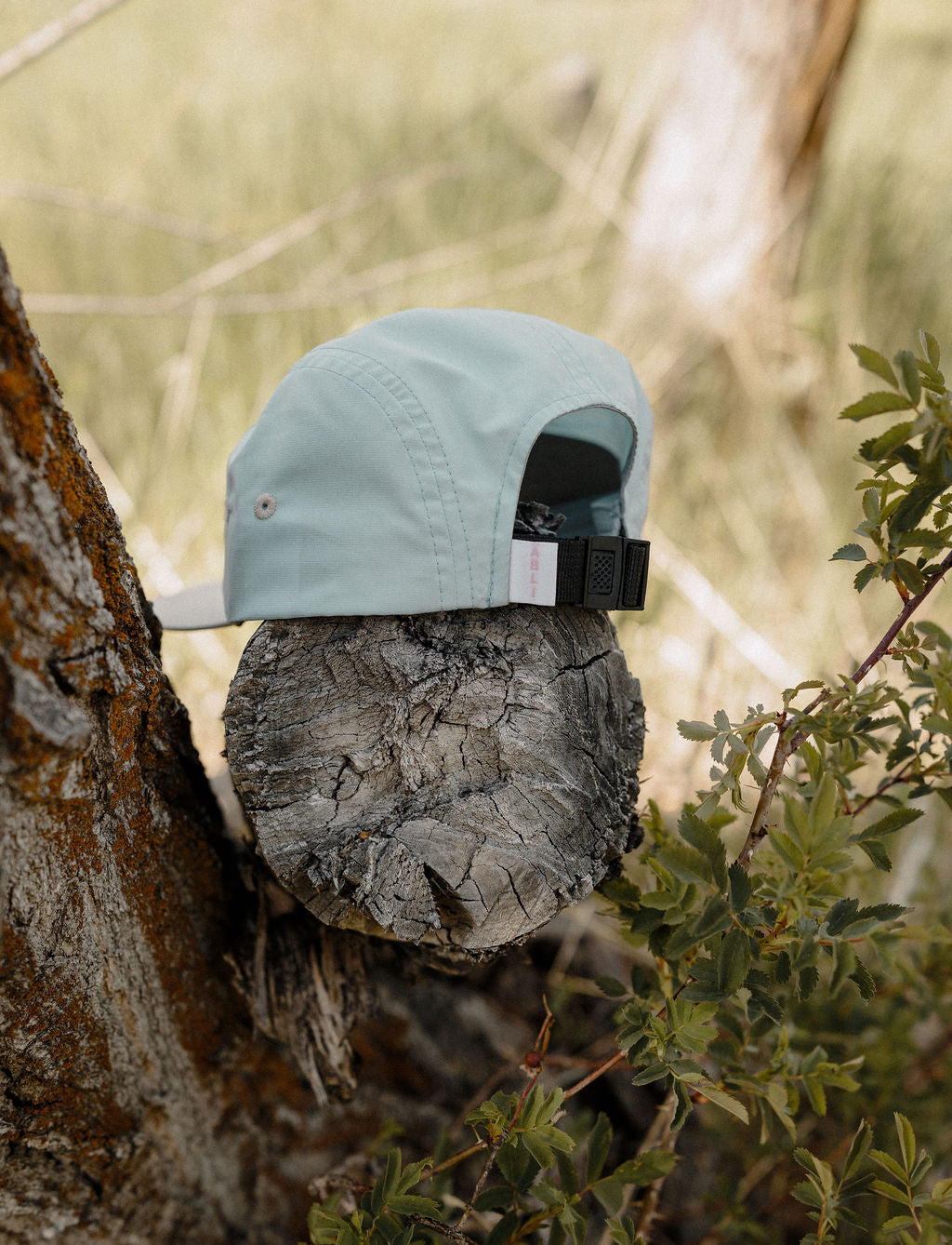 The Anti Boring Camp Hat