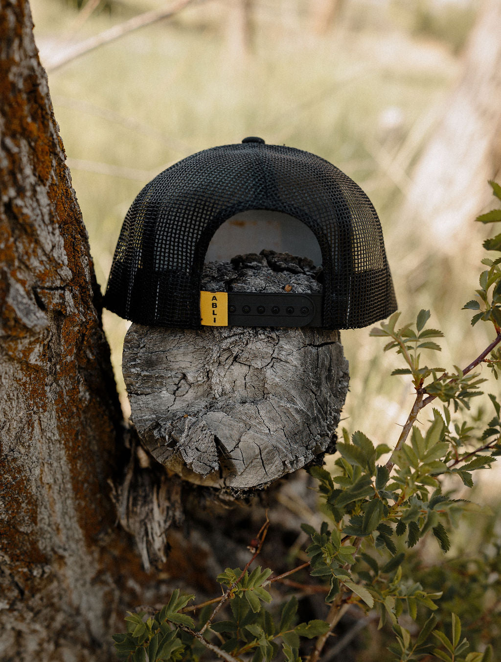 The Anti Boring Essential Trucker