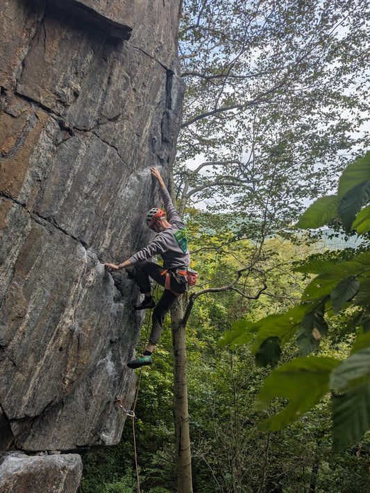 The Glade Shades Crew Neck