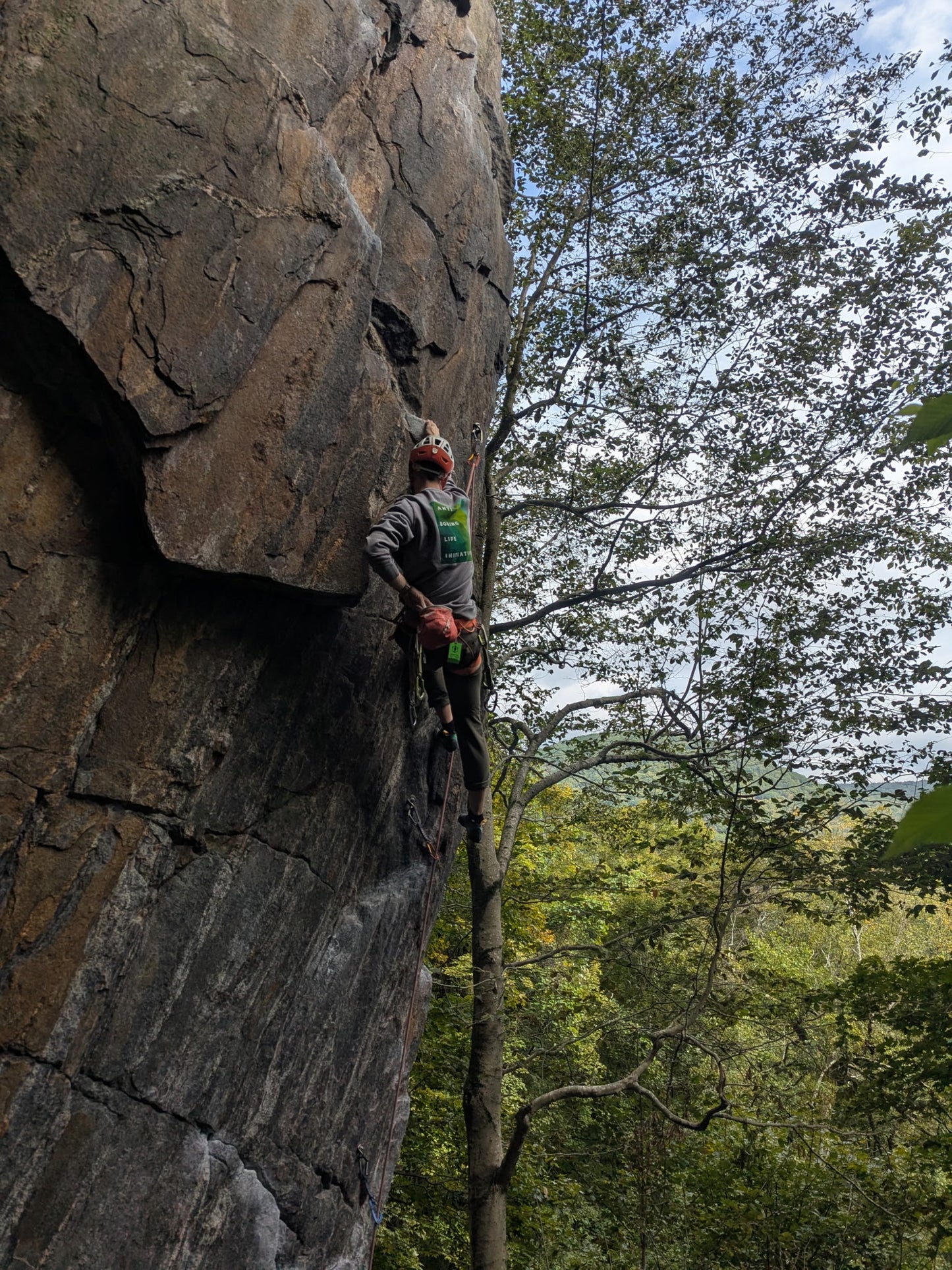 The Glade Shades Crew Neck